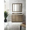 James Martin Vanities Bristol 48in Single Vanity, Whitewashed Walnut w/ 3 CM Eternal Jasmine Pearl Quartz Top 157-V48-WW-3EJP